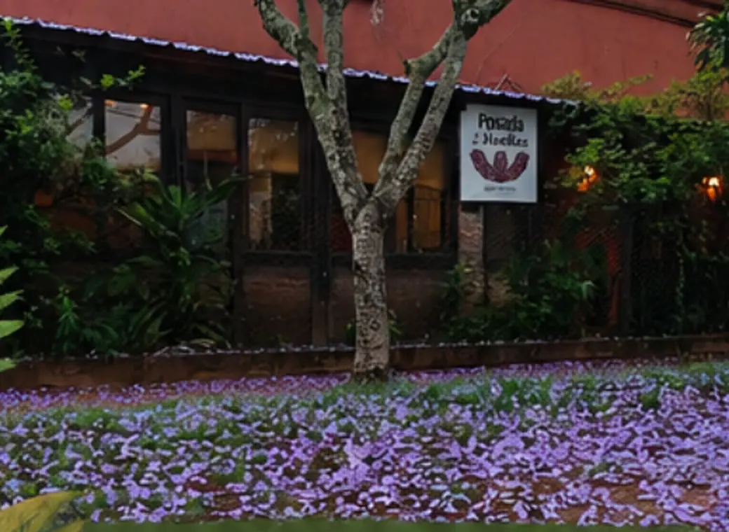 Frente de la posada con el suelo cubierto de flores de jacarandá