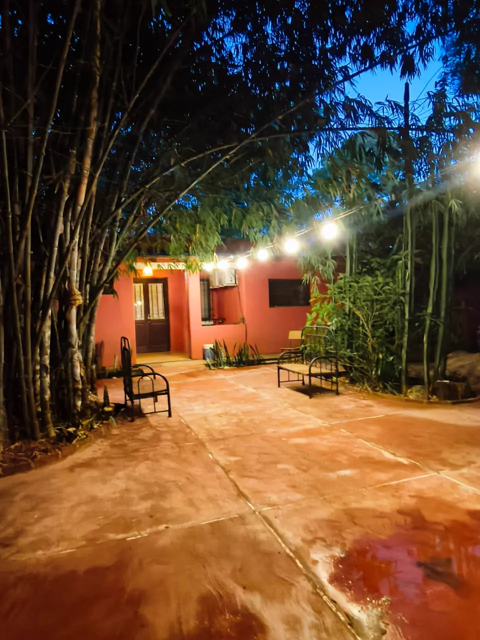 Patio de la posada de noche, con guirnalda de luces entre los bambúes