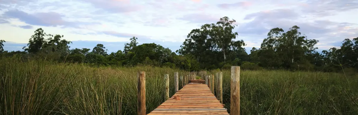 Pasarela de madera sobre el estero en la Reserva Estero Alma